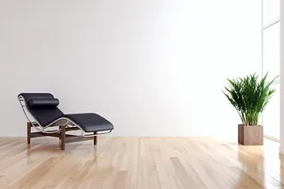 Svart stol foran hvit vegg med plante